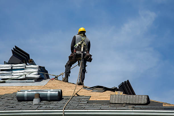Professional Roof Replacement technician working in Webster, PA